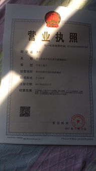 匠心獨(dú)運(yùn)，透明未來——邢臺(tái)經(jīng)濟(jì)開發(fā)區(qū)嘉佳玻璃制品廠官方網(wǎng)站開發(fā)制作方案